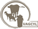 UAGCYL UAGCYL
